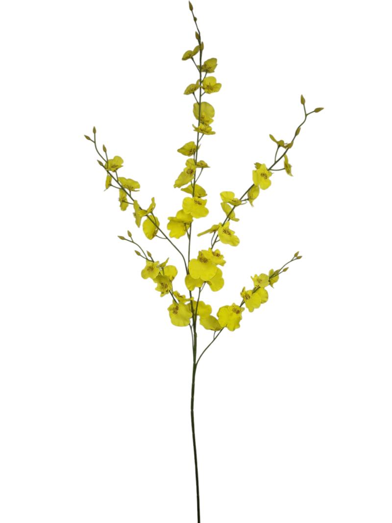 P Zijden Oncidium, Yello, 93cm.