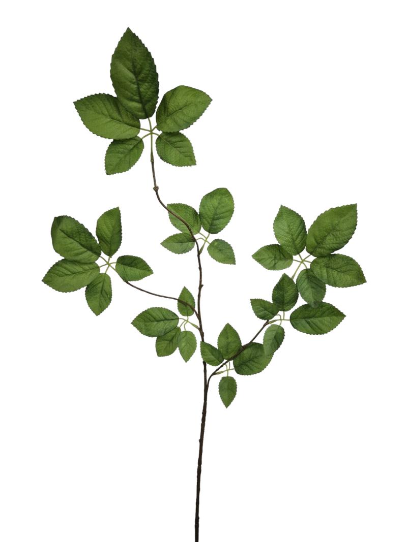 P Zijden Rose Leaf, Green, 90 cm 