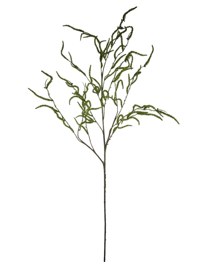 P Zijden Salix, Groene wilg, Groen, 120cm.
