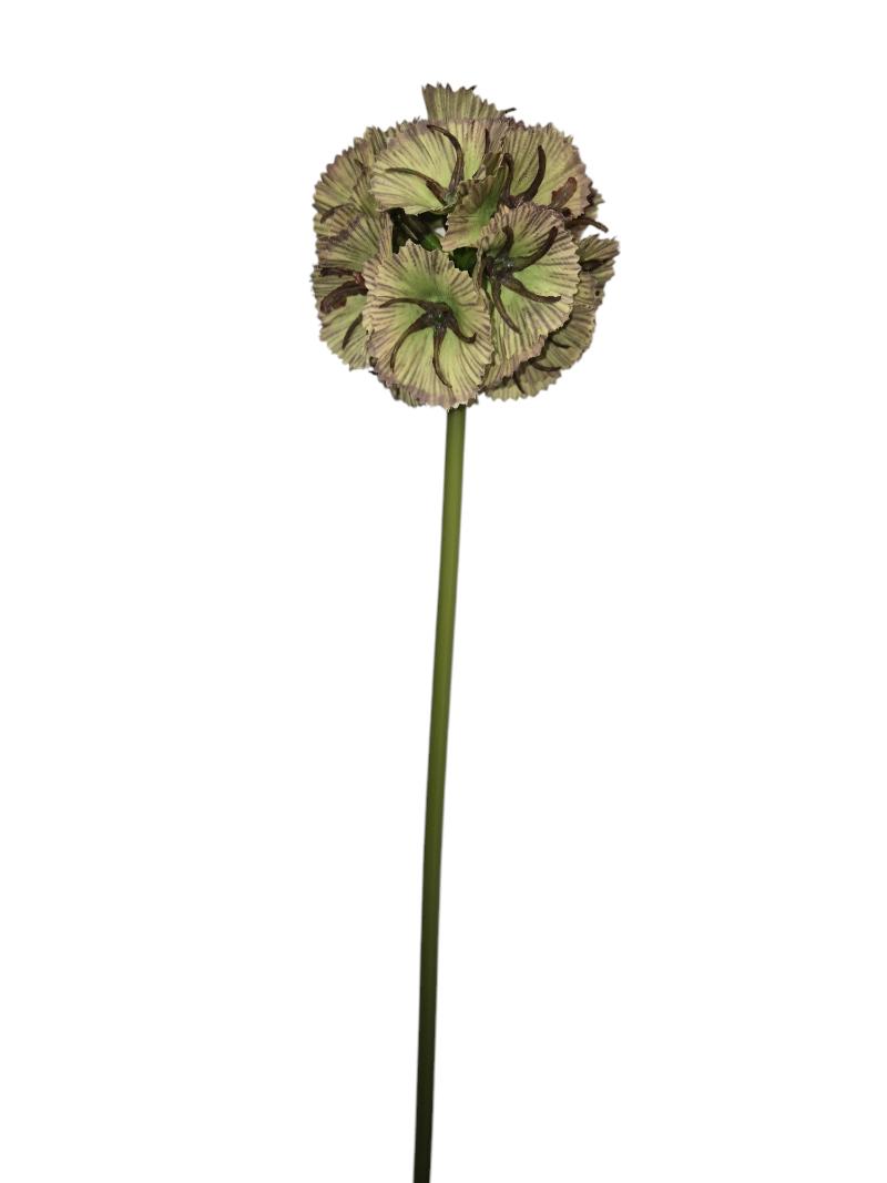 P Zijden Scabiosa, 60cm, Wired, Green