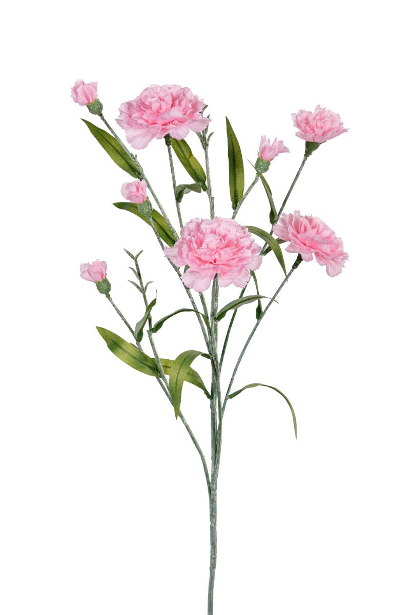 P Zijden Dianthus, 70cm, roze.