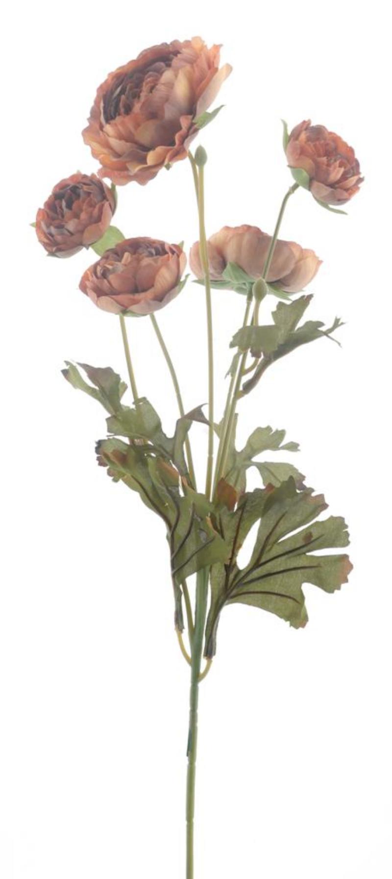 P Zijden Ranunculus spray peach 61cm