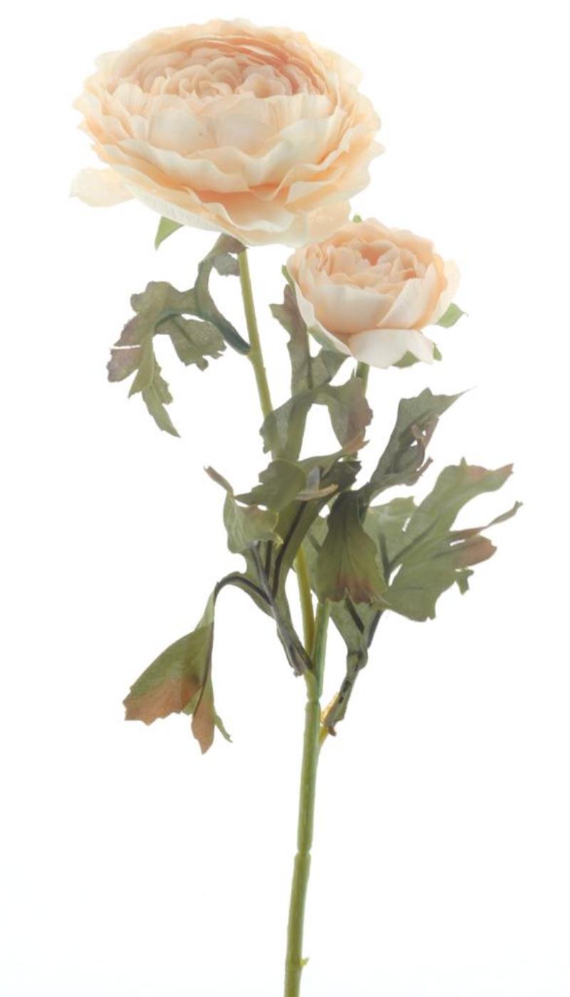 P Zijden Ranunculus spray cream 56cm