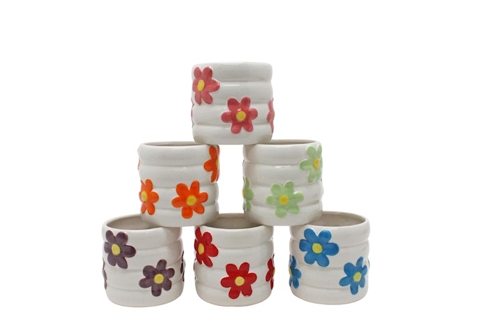 J Pot Bloom 6 col ass orchid 9cm