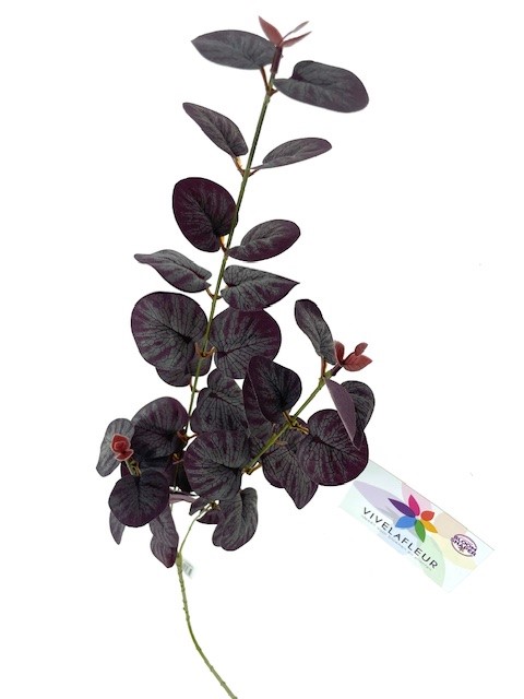 Euca Paars L80cm