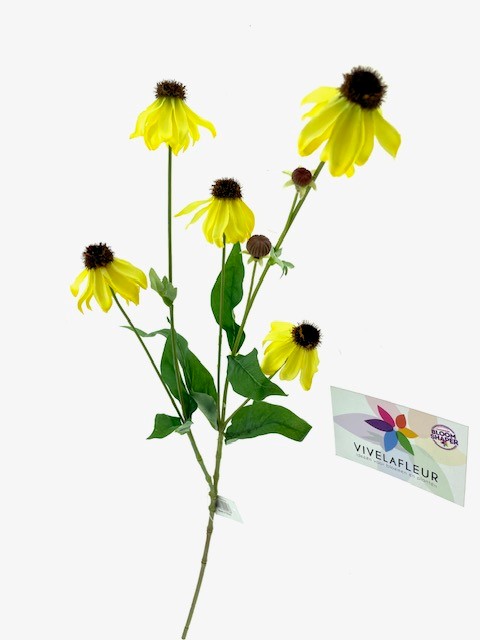 Echinea Bloeiend Geel L65cm