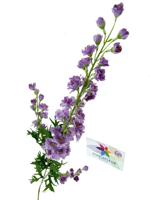 Delphinium Lavender L85cm