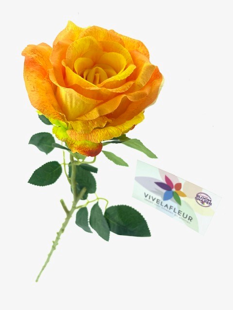 Roses Big Licht oranje L65cm