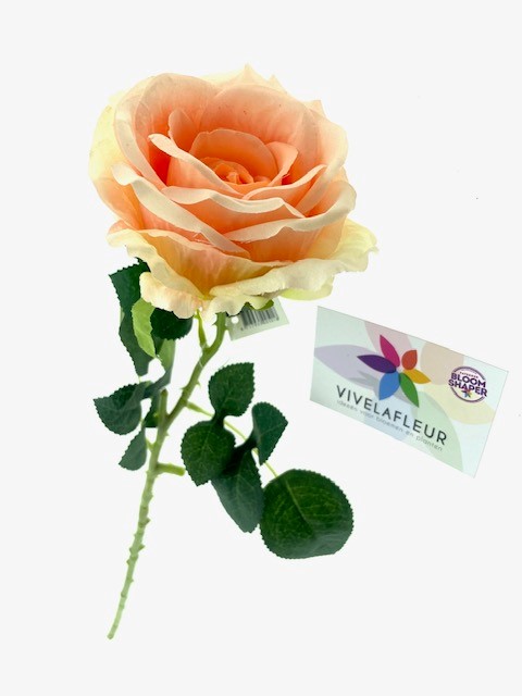 Roses Big Zalm L65cm