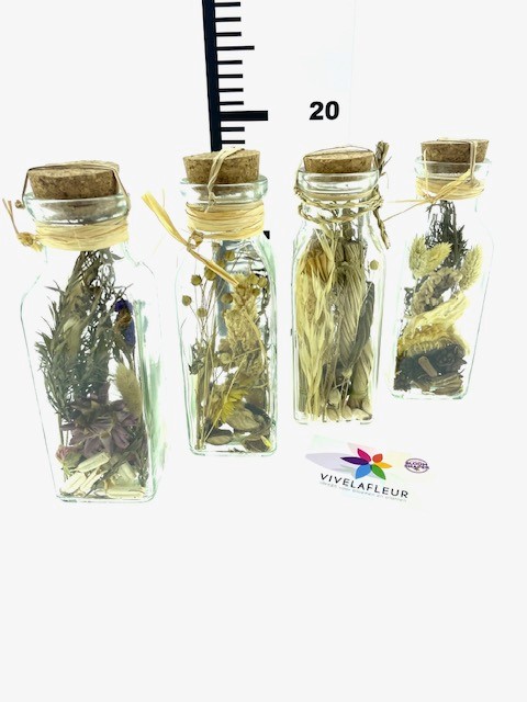 B Dried Flower Bottle ass 4 H19 / 6 cm