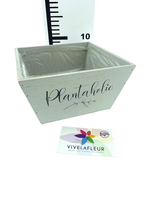 B Planter plantaholic grey H10x18x18cm
