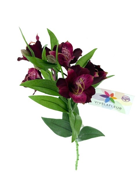 Alstromeria Donker Lila 70cm