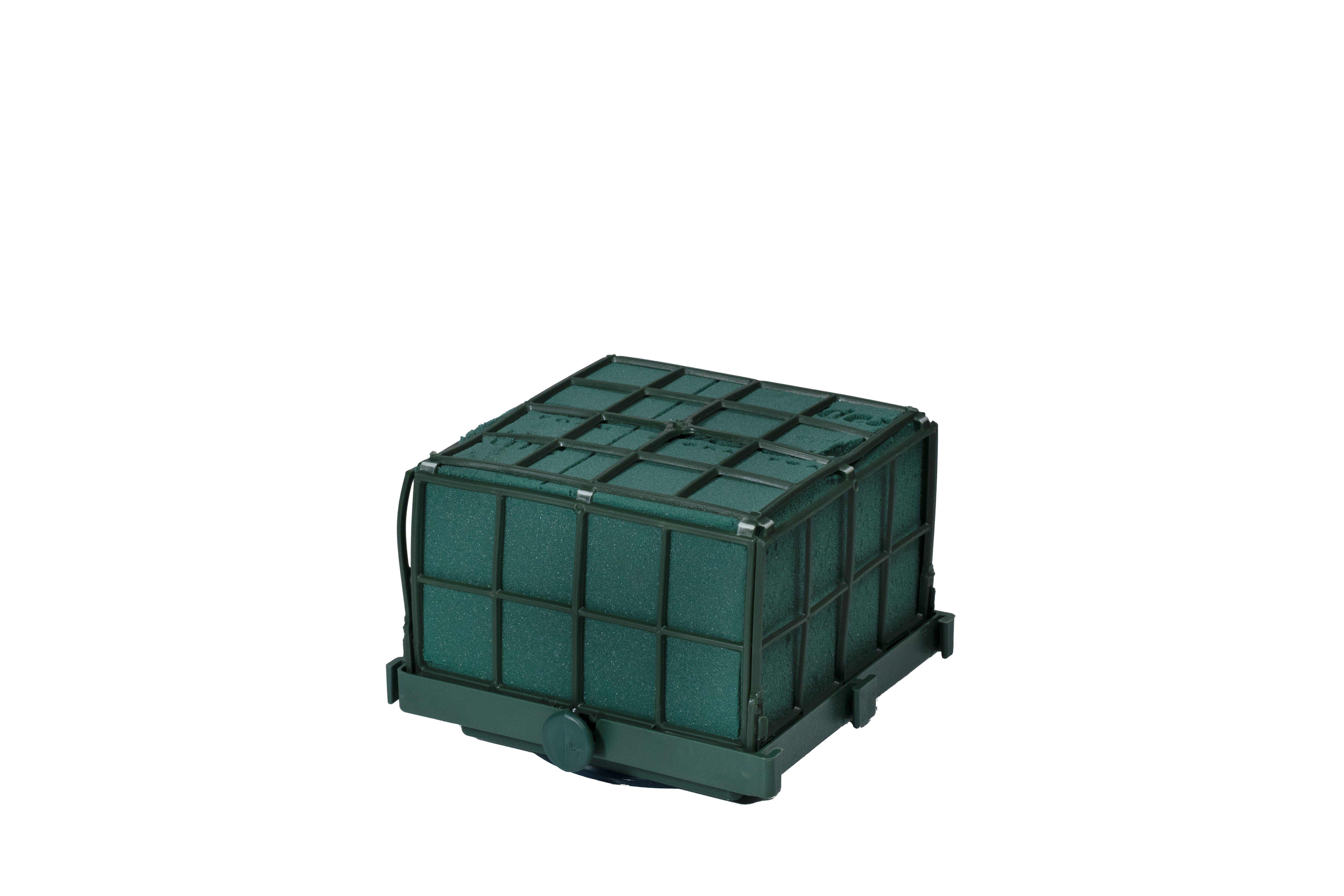 P  Oasis auto-corso 11x11x10cm ( 24 suks)
