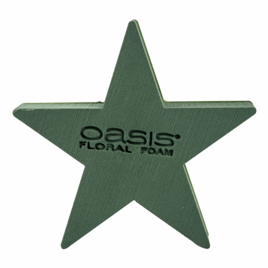 P Oasis biolit star 40x40x5,5cm ( 6 stuks)