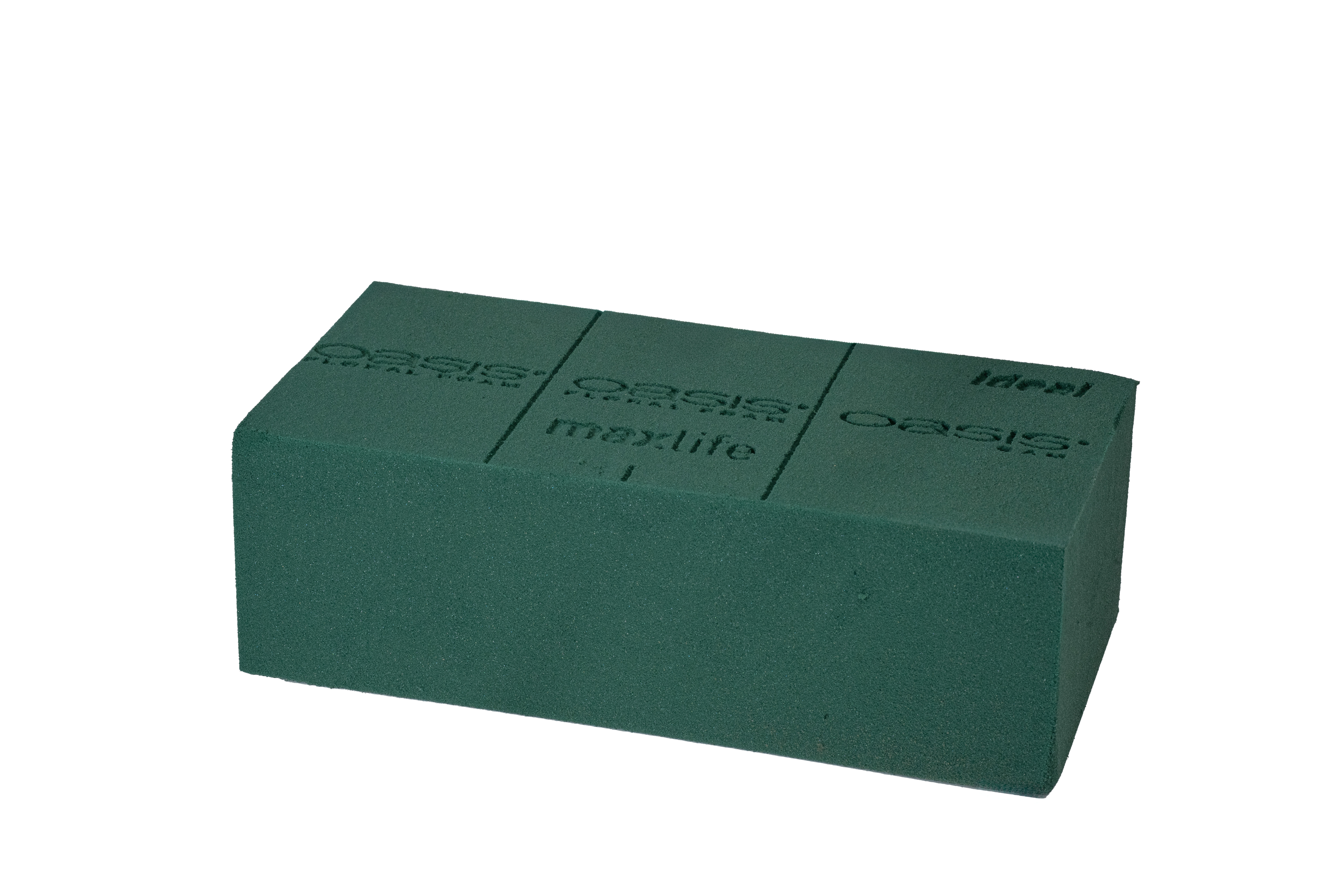 P Oasis block sec 23x11x8cm - doos 20st