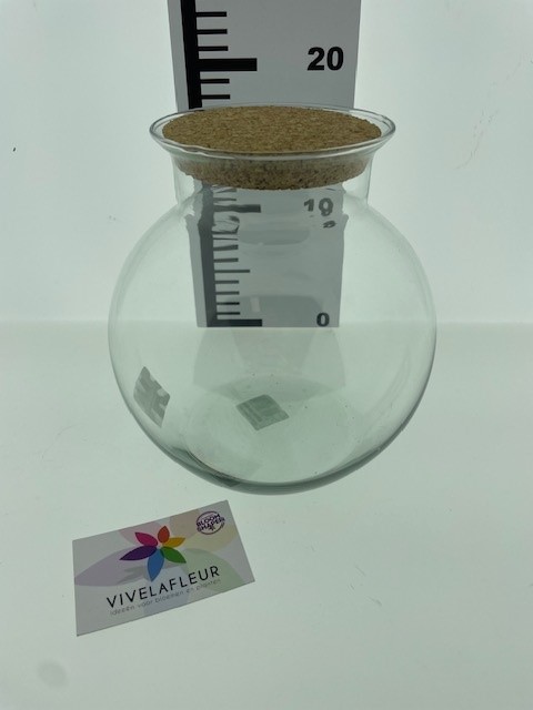B Terrarium Bose Eco + cork H20/ D12/19 cm