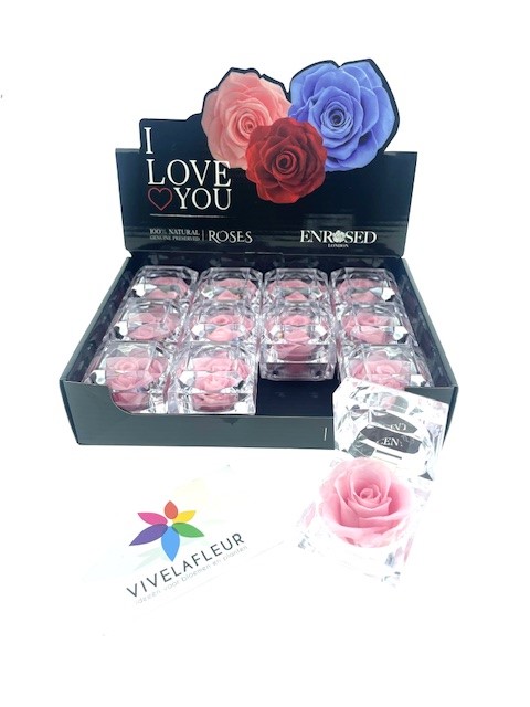 Diamond Pink roses