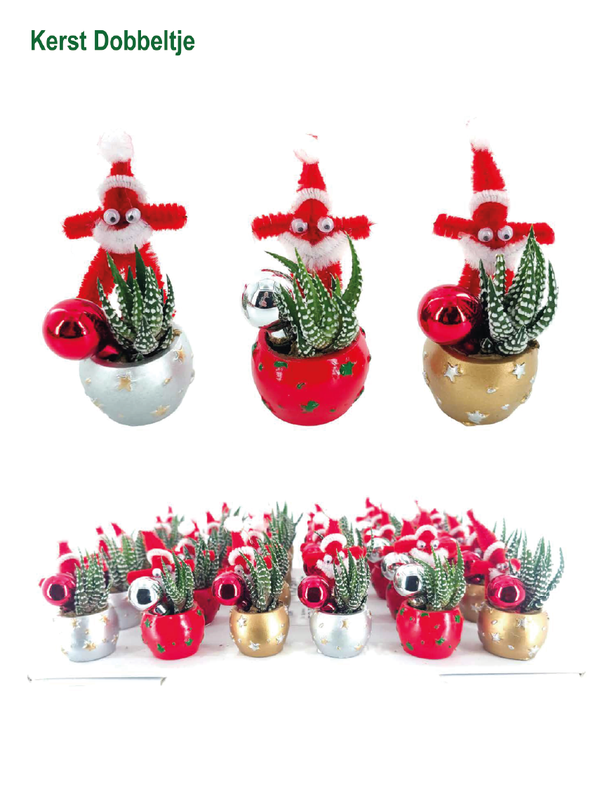 A Kerst-Dobbeltje potje 4