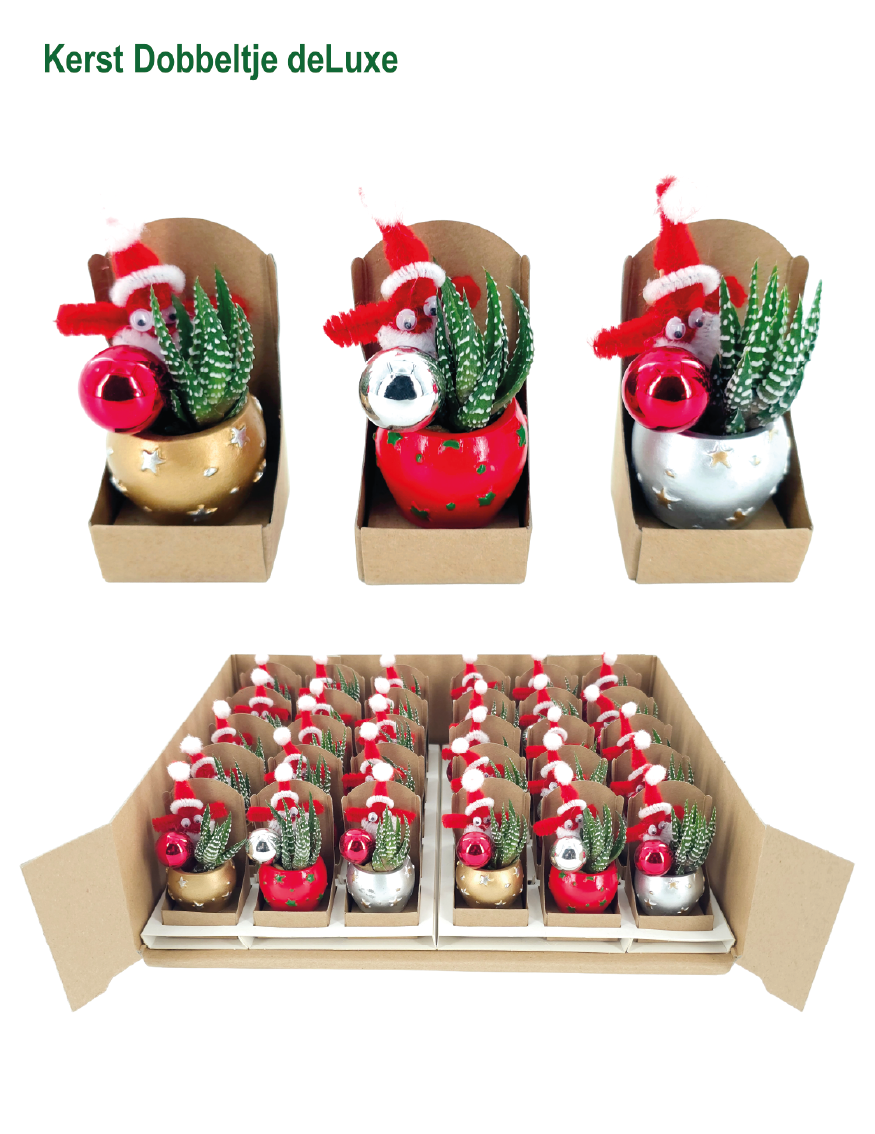 A kerst dobbeltje DE LUXE