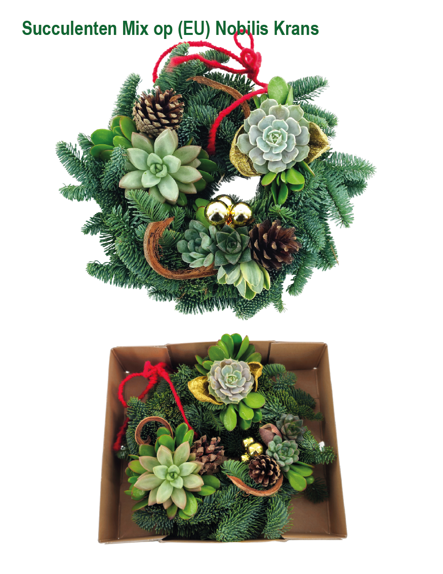 A Succelent mix op krans