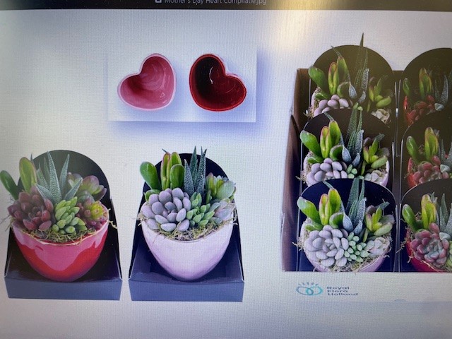 arddeco cera heart 2 ass