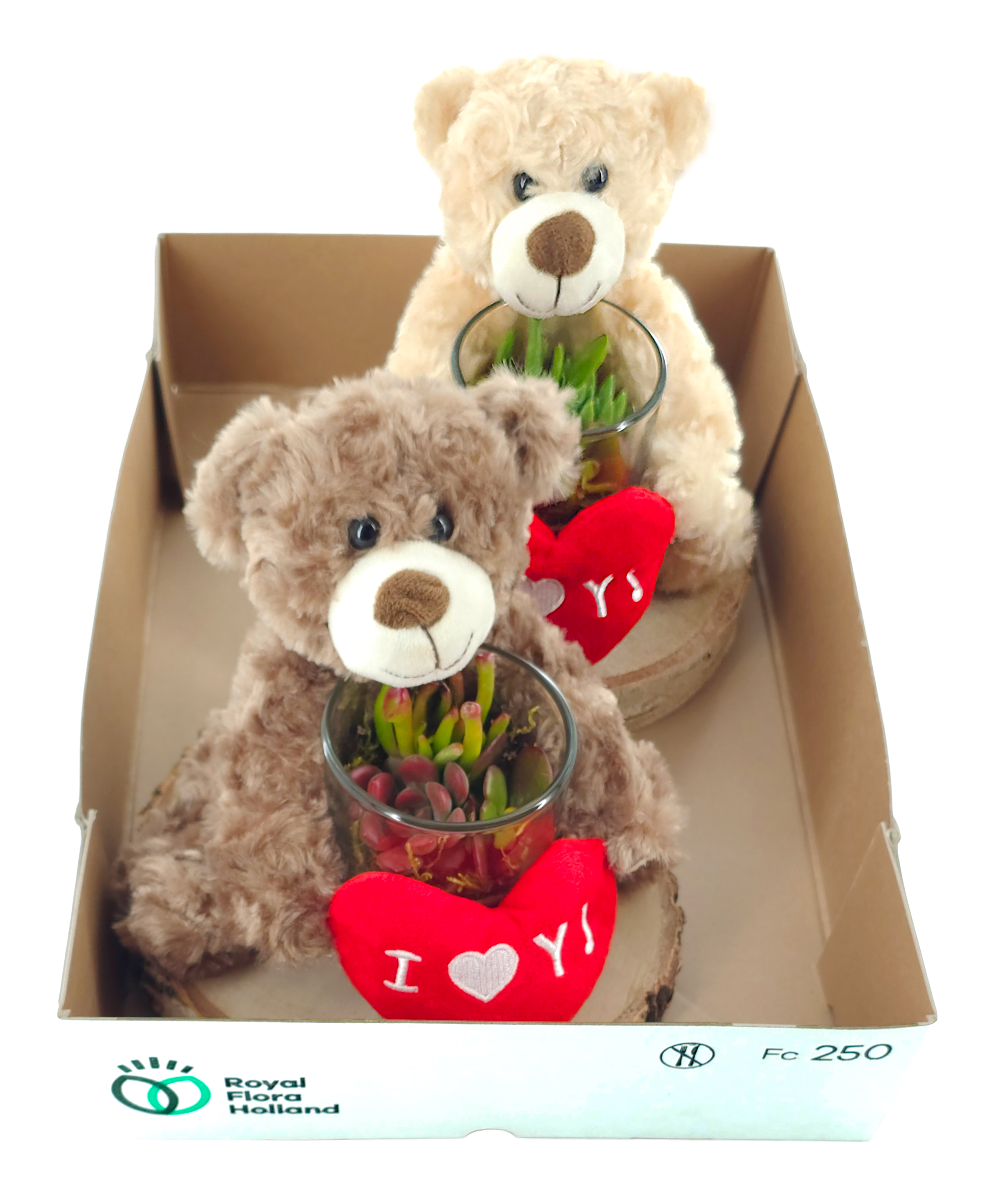 arddeco bear on slice