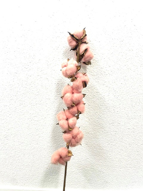 G katoen L6 Roze