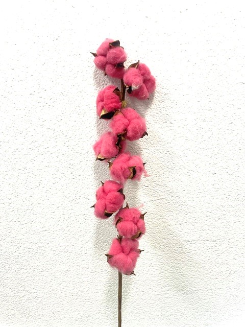 G katoen L6 Cerise